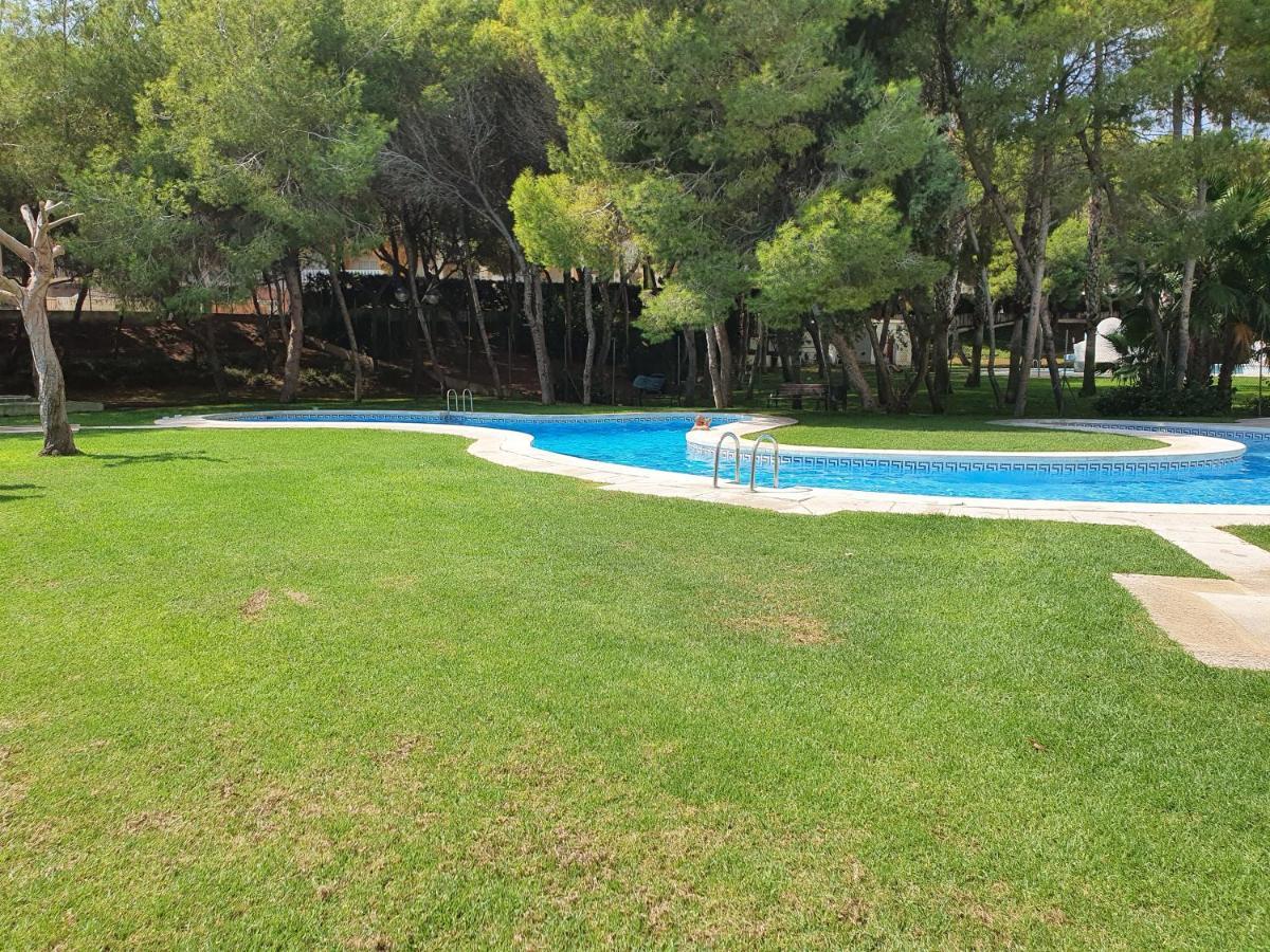 Apartment In Campoamor Overlooking The Swimming Pool エクステリア 写真