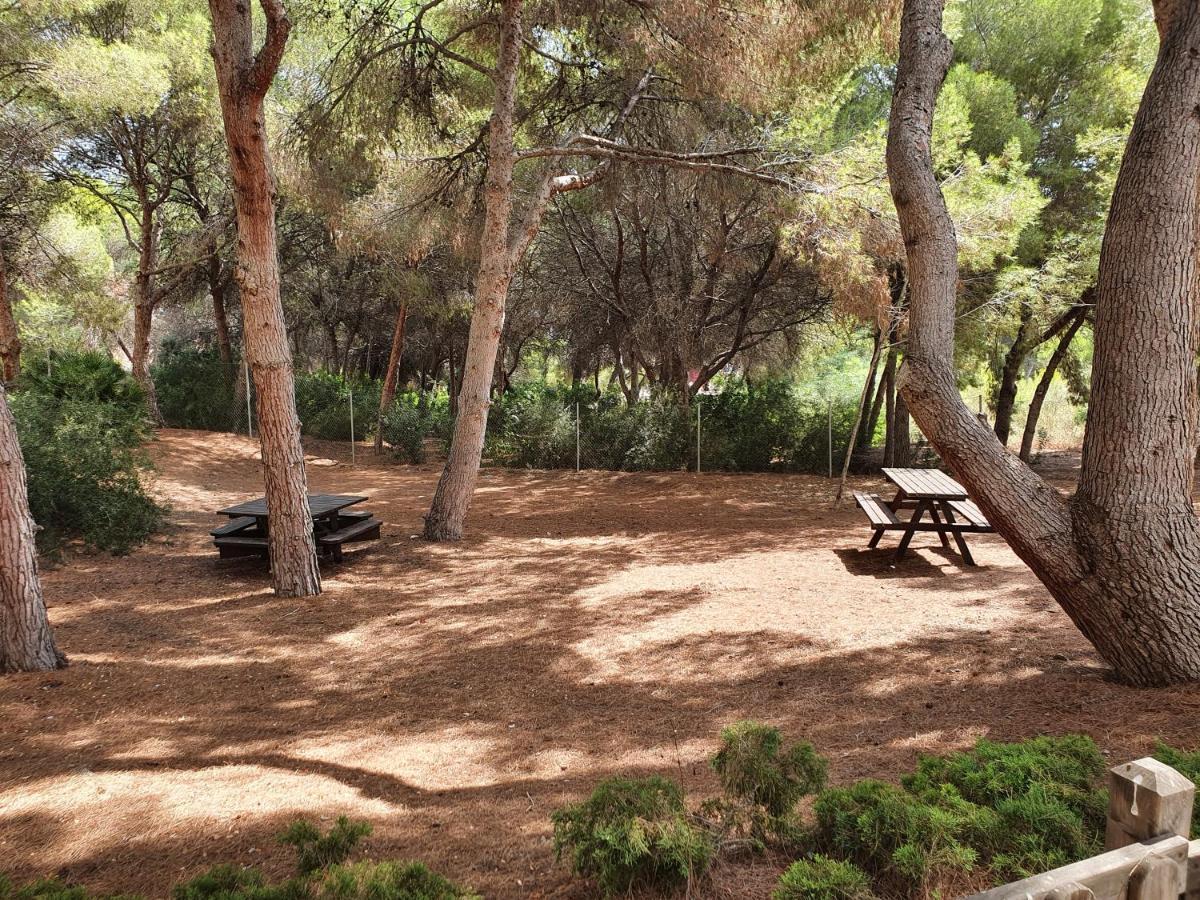 Apartment In Campoamor Overlooking The Swimming Pool エクステリア 写真